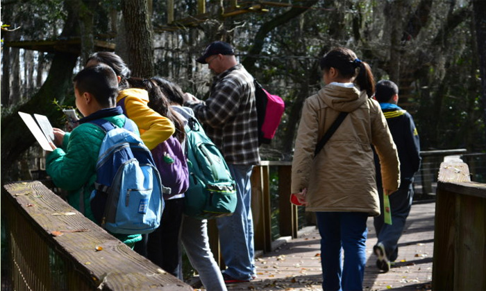 英孚游学冬令营带孩子参观野生动物园