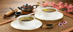 山东国学冬令营介绍茶的起源
