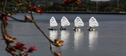 广州附近有适合小学生的帆船冬令营吗？