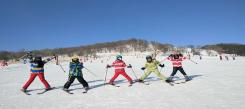 来湖北滑雪冬令营探究金丝猴生态圈奥秘！