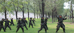 青少年军事特种兵训练的特别之处