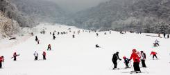 在浙江参加滑雪冬令营有什么特色？