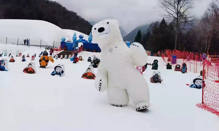 雪地北极熊