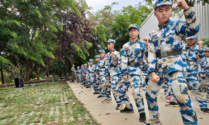 学习五步拳