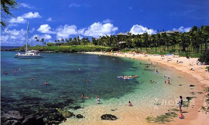 在美丽的夏威夷过假期