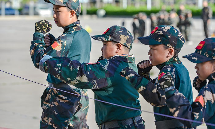 学习挥拳姿势